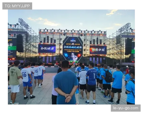 中国足球决赛之夜：巅峰对决点燃绿茵激情